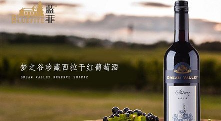 什么樣的品牌適合代理開紅酒加盟店?